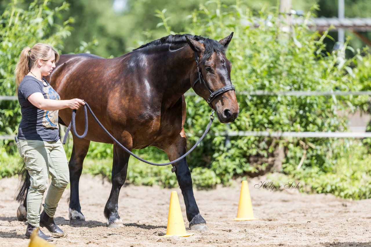 Bild 32 - Vivi